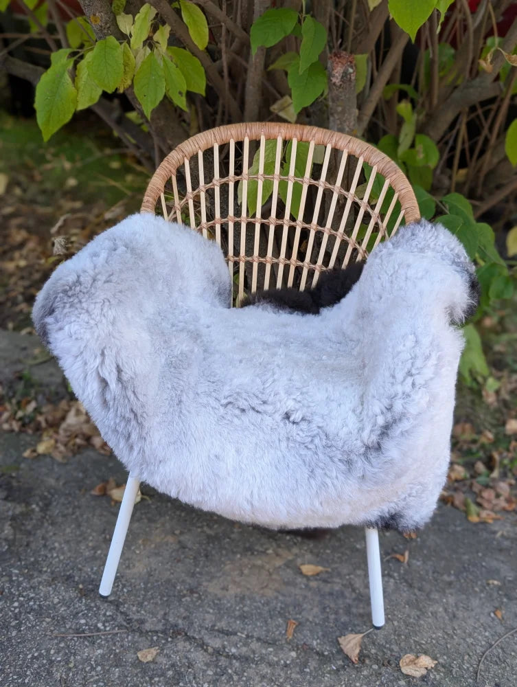 Light gray wool icelandic sheepskin rug with dark edges draped over a wicker chair with white metal legs