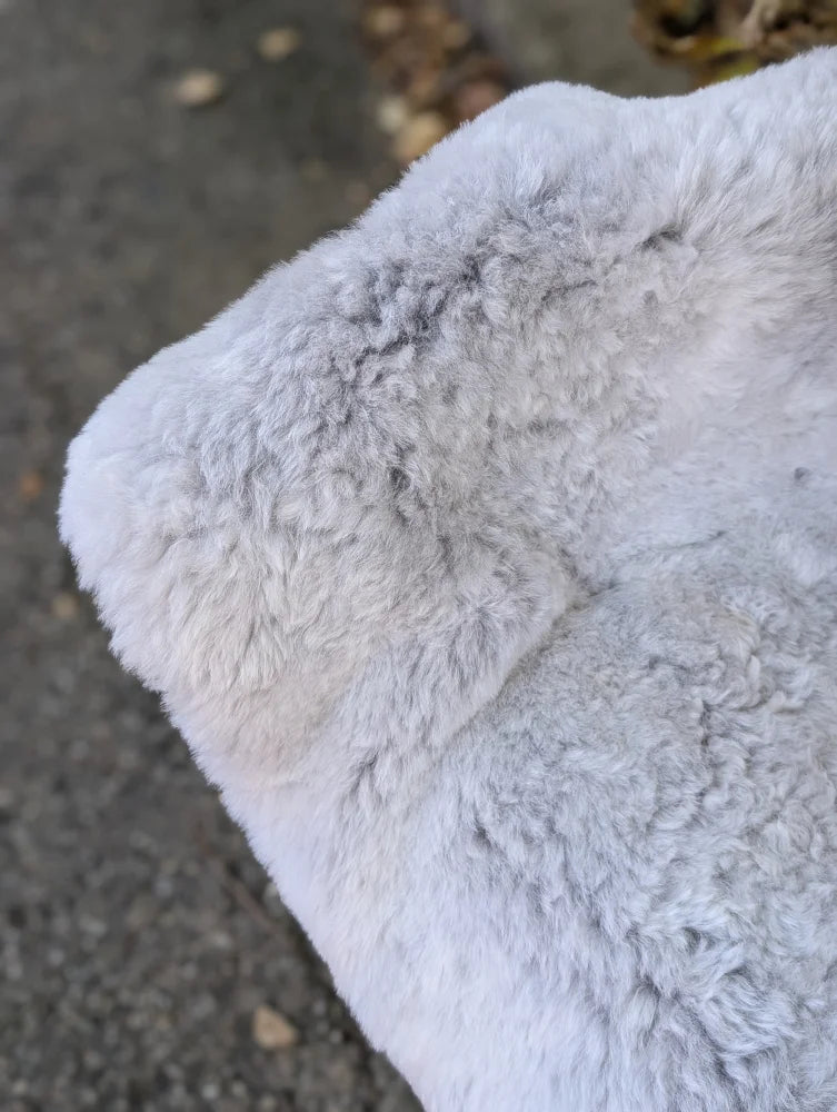 A soft light gray wool icelandic sheepskin cushion with plush texture and dark edges for cozy comfort
