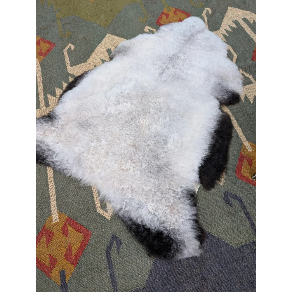 A plush white and black icelandic sheepskin rug with soft curly long wool perfect for cozy home decor by angus oliver