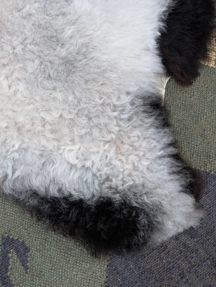 A large icelandic sheepskin rug with plush long wool icelandic fur in white and black by angus oliver