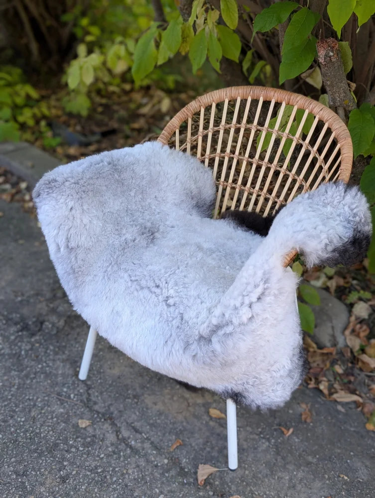 Light gray wool icelandic sheepskin rug draped over wicker chair with white metal legs featuring dark edges