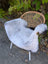 Light gray wool icelandic sheepskin rug draped over wicker chair with white metal legs featuring dark edges