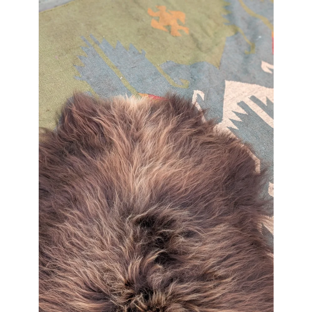 A plush dark brown angus oliver icelandic sheepskin rug with long wool and natural shade variations 59 by 37 inches