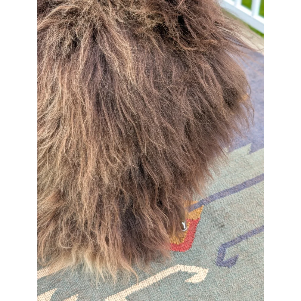 Thick shaggy brown icelandic sheepskin coat with long wool and subtle lighter highlights by angus oliver