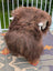 A thick fluffy brown long wool icelandic sheepskin rug draped over a white chair by angus oliver