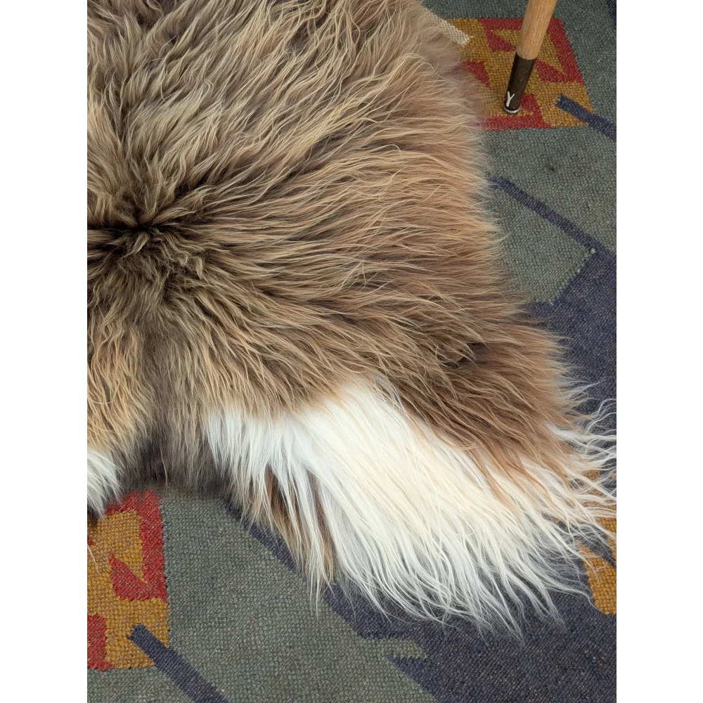 A plush long wool icelandic sheepskin rug in natural tan and white colors from angus oliver, 59 by 34 inches