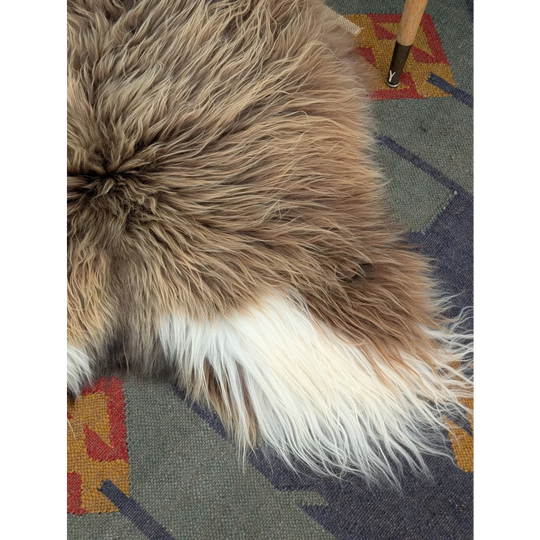 A plush long wool icelandic sheepskin rug in natural tan and white colors from angus oliver, 59 by 34 inches