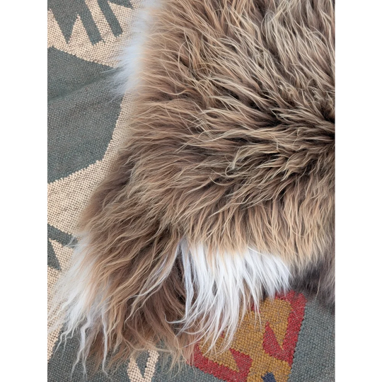 A plush long wool icelandic sheepskin rug with brown and white fur and soft natural texture by angus oliver