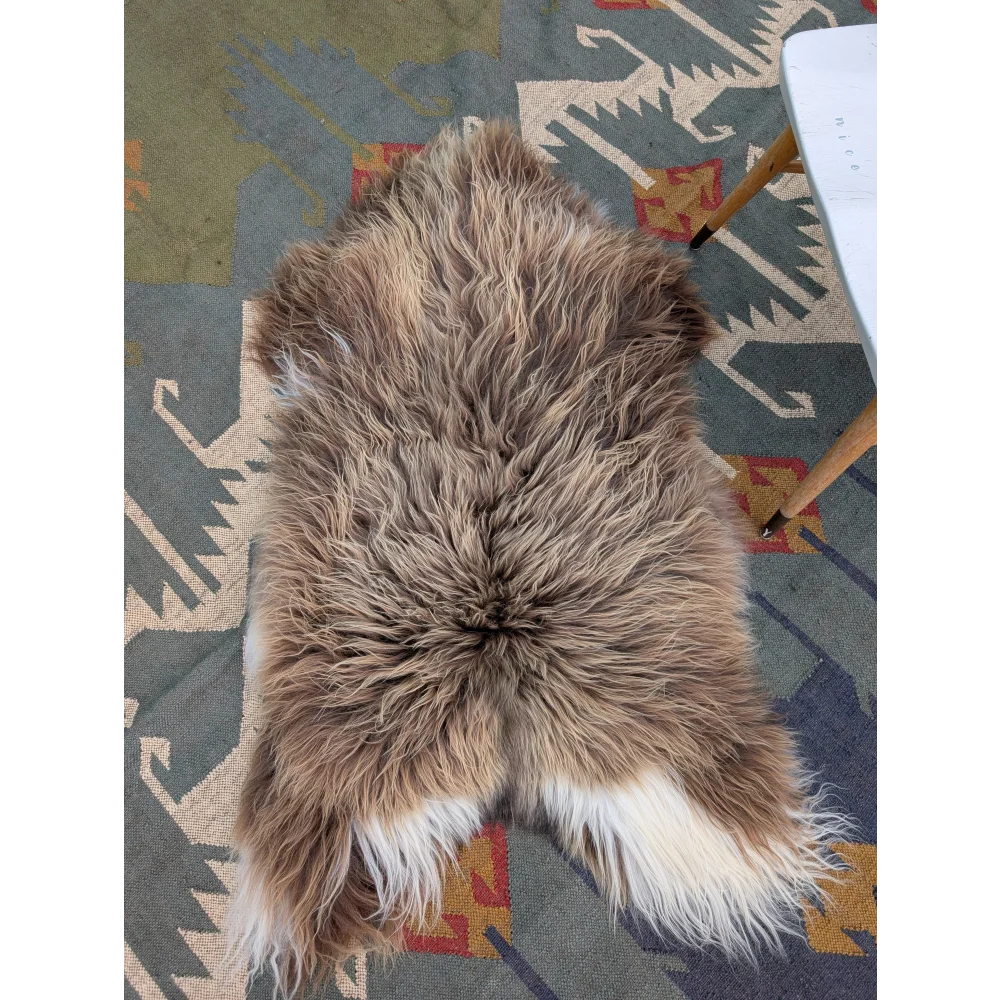 A fluffy natural brown and white long wool icelandic sheepskin rug by angus oliver measuring 59 x 34 inches