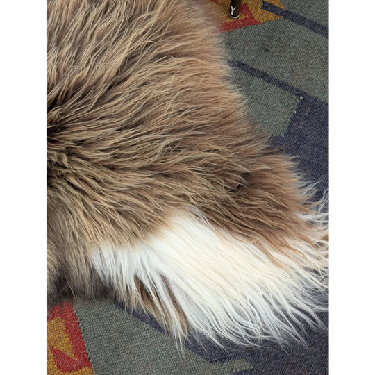 A plush 59 x 34 inch long wool icelandic sheepskin rug in tan and white gradient by angus oliver