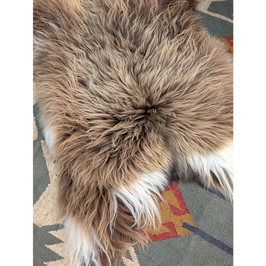 A massive 59 x 34 inch long wool icelandic sheepskin rug in brown and white by angus oliver with natural fluffy texture