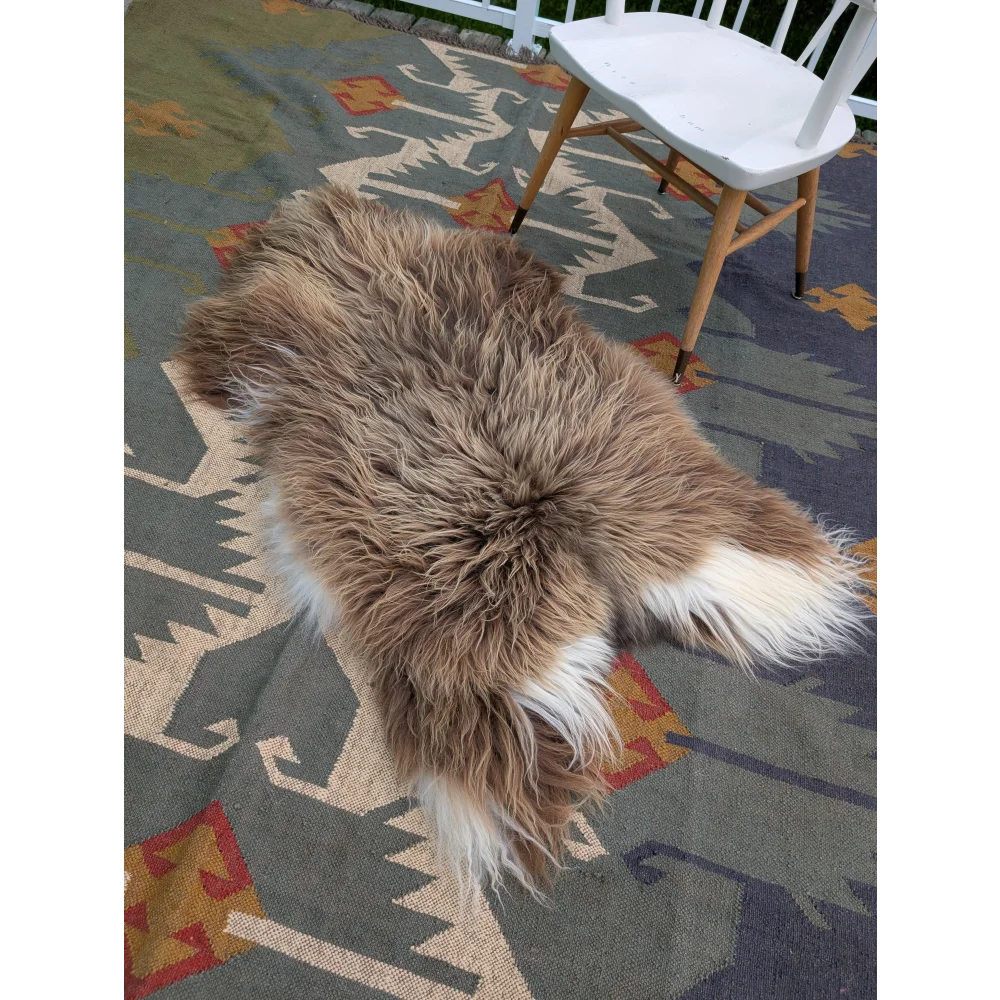 A fluffy natural brown and white massive icelandic sheepskin rug with long soft wool by angus oliver measuring 59 x 34 inches