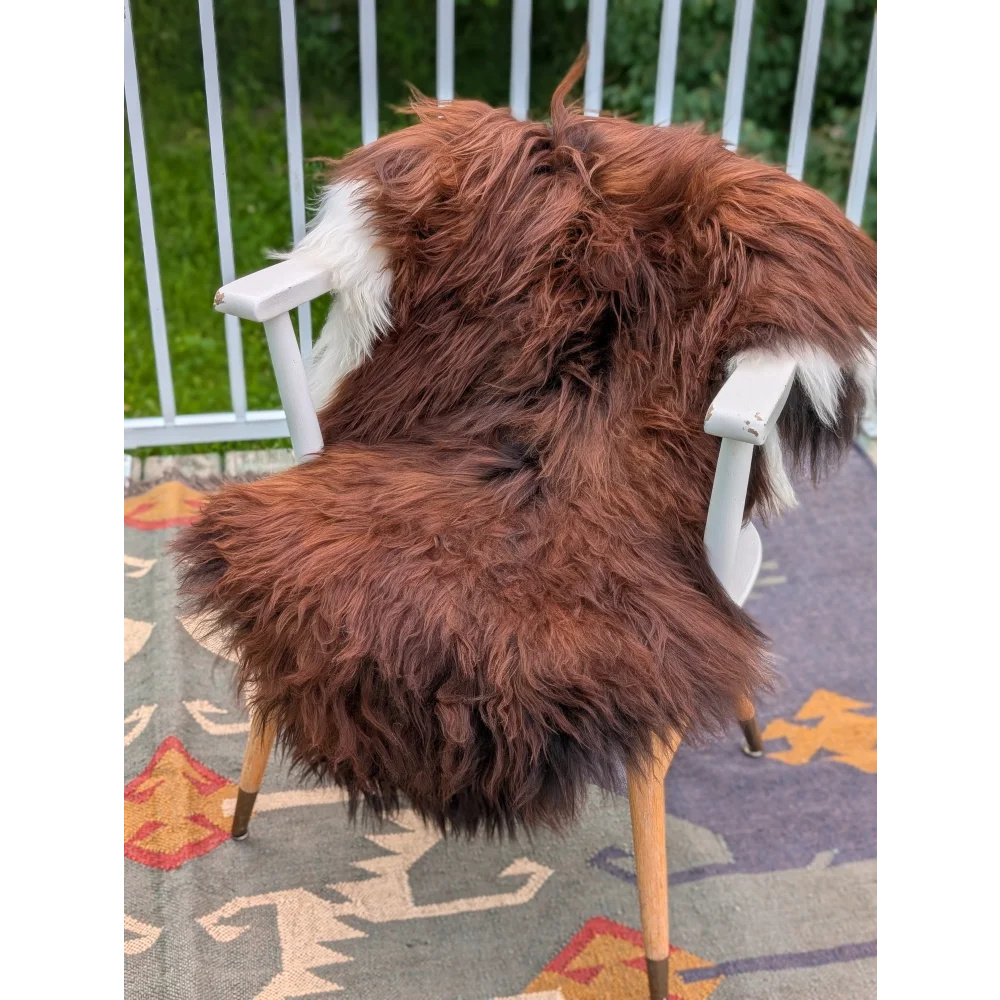 A plush long wool icelandic sheepskin rug in brown and white draped over a white wooden chair sized 47 by 32 inches