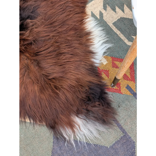 A plush brown and white long wool icelandic sheepskin rug with soft shaggy texture on a woven carpet 47 x 32 inches