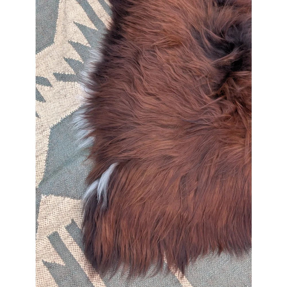 A plush rich brown extra large icelandic sheepskin rug with long wool icelandic fibers and subtle lighter tips