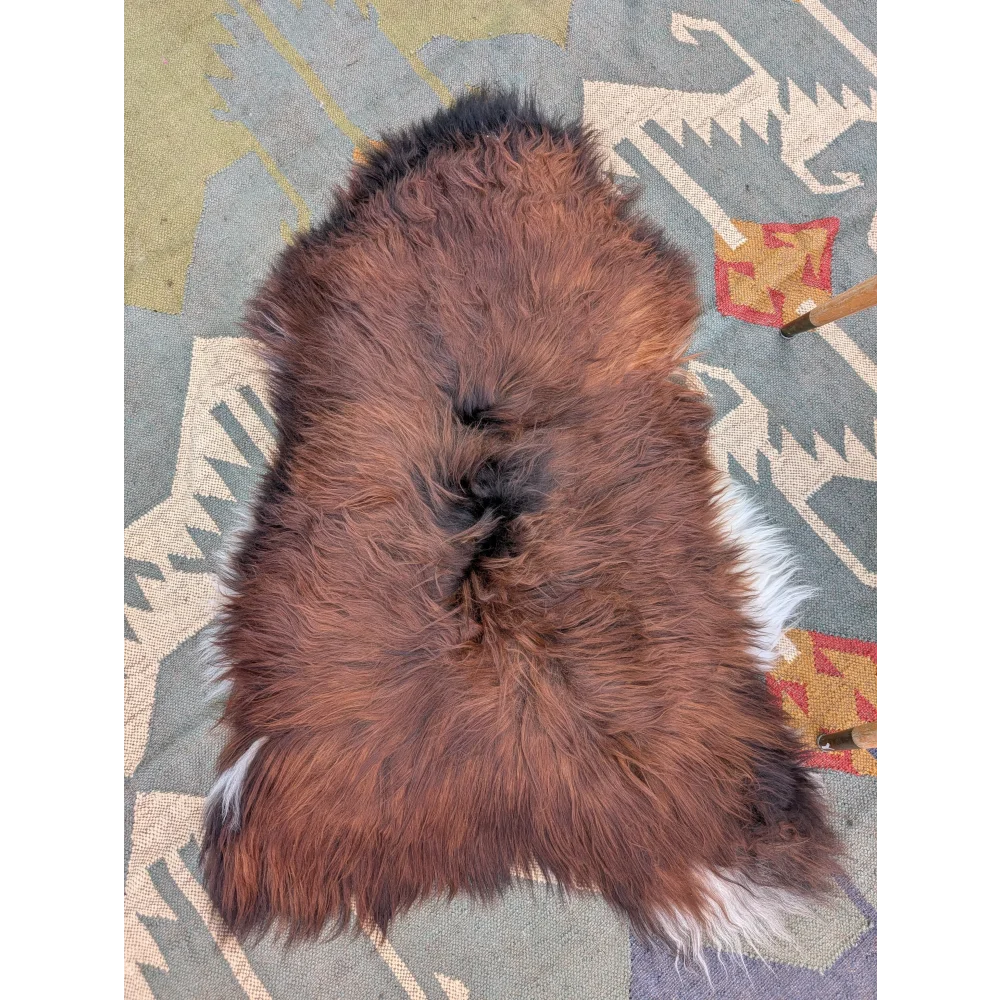 A plush brown and white icelandic sheepskin rug with soft long wool icelandic texture measuring 47 by 32 inches