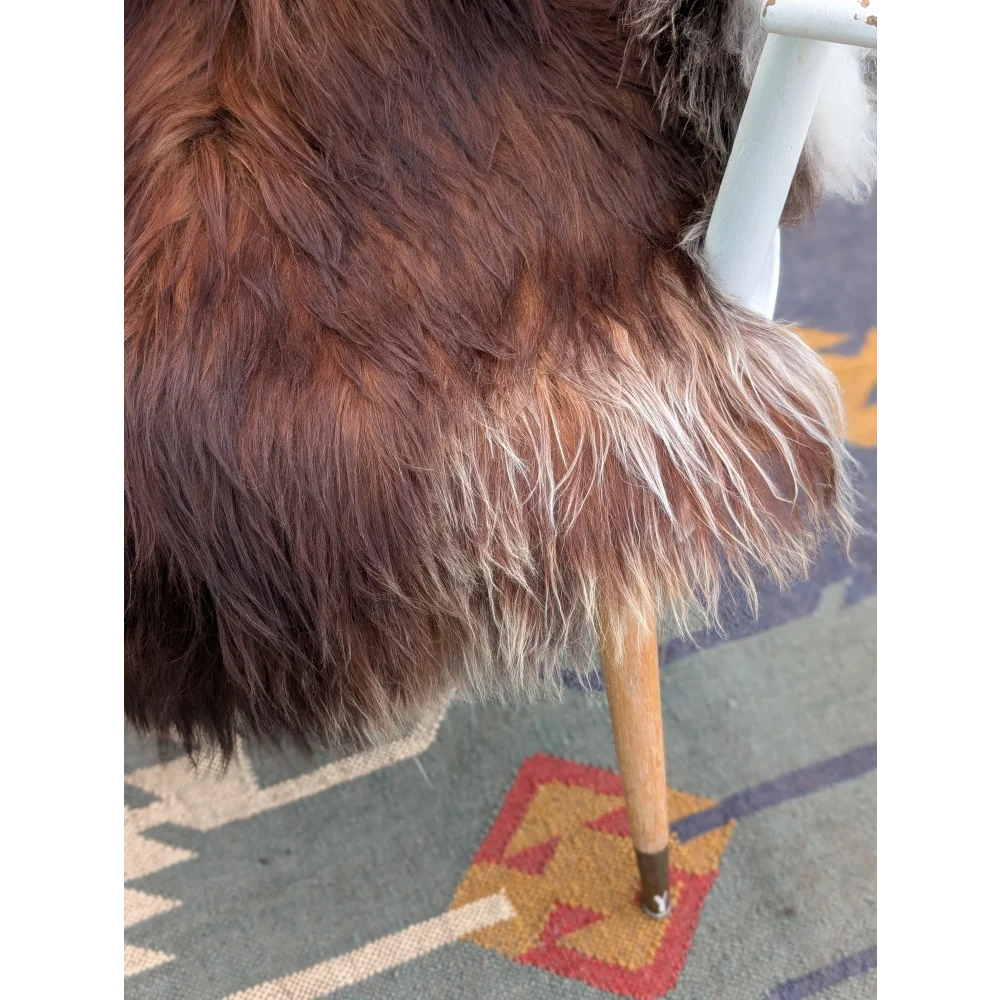 A plush long wool icelandic sheepskin throw in brown and white draped over the back of a chair