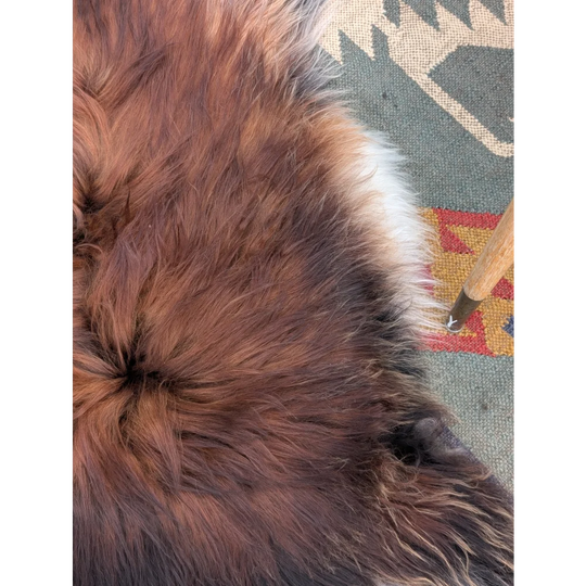 A plush brown and white icelandic sheepskin rug with long wool icelandic fibers and a soft dense texture
