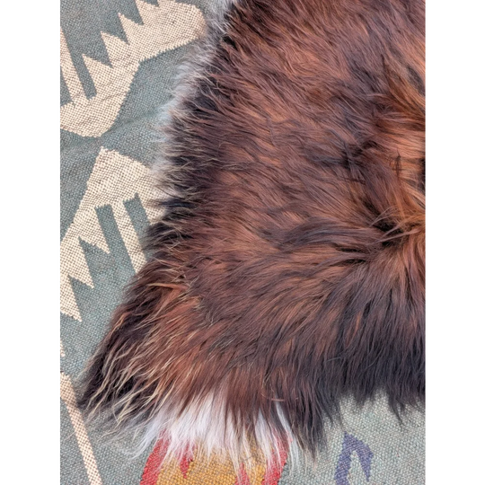 A plush brown and white wool icelandic sheepskin rug with soft natural long wool icelandic texture measuring 49 x 30 inches