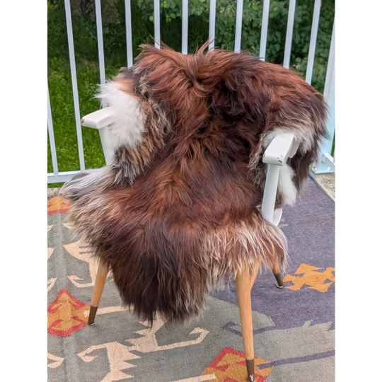 A plush long wool icelandic sheepskin rug in brown and white draped over a white chair with wooden legs