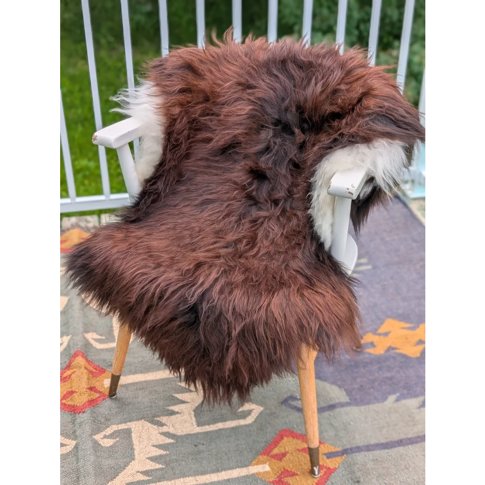 A plush brown and white icelandic sheepskin rug draped over a white wooden chair showcasing long wool icelandic texture