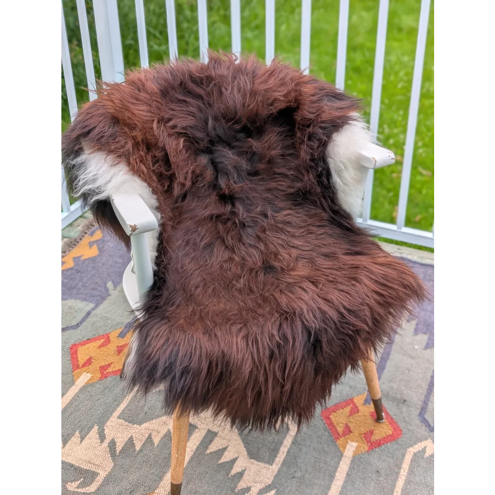A plush brown and white icelandic sheepskin rug with long wool icelandic fibers draped over a chair