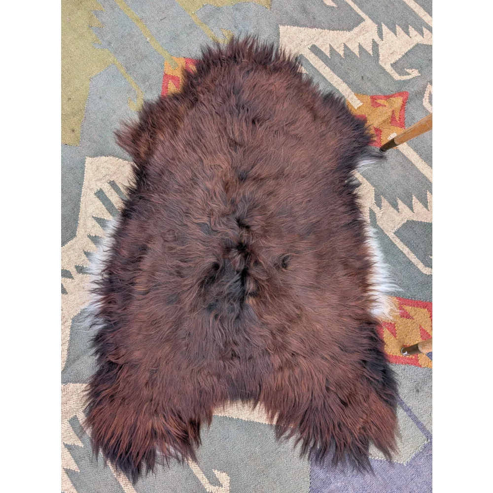 A plush dark brown icelandic sheepskin rug with long wool icelandic fibers and a natural uneven texture 48 x 33 inches