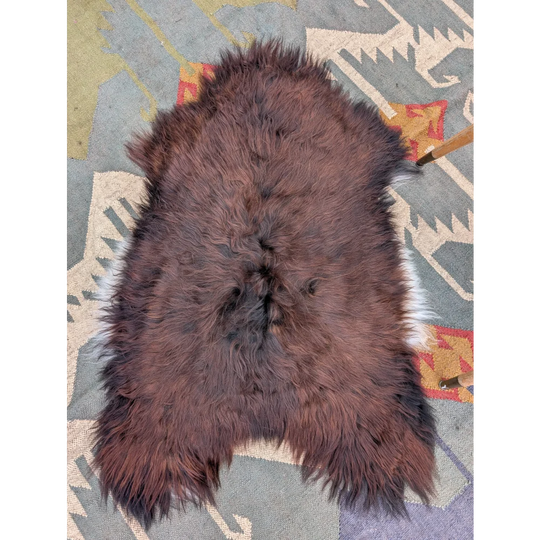 A plush dark brown icelandic sheepskin rug with long wool icelandic fibers and a natural uneven texture 48 x 33 inches