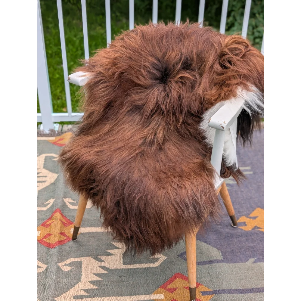 A plush long wool icelandic sheepskin rug in brown draped over a white chair in extra large size
