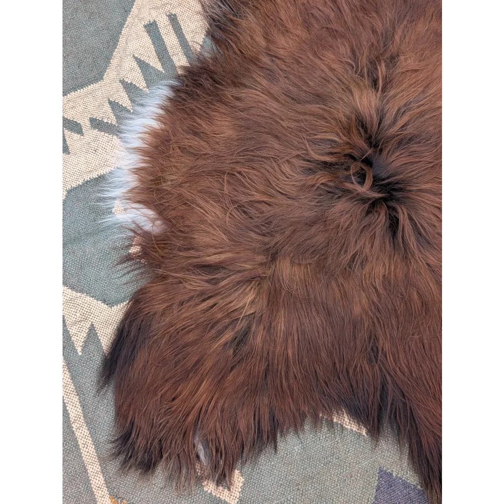 A plush brown icelandic sheepskin rug with long wool icelandic fibers and subtle white tips sized 48 by 35 inches