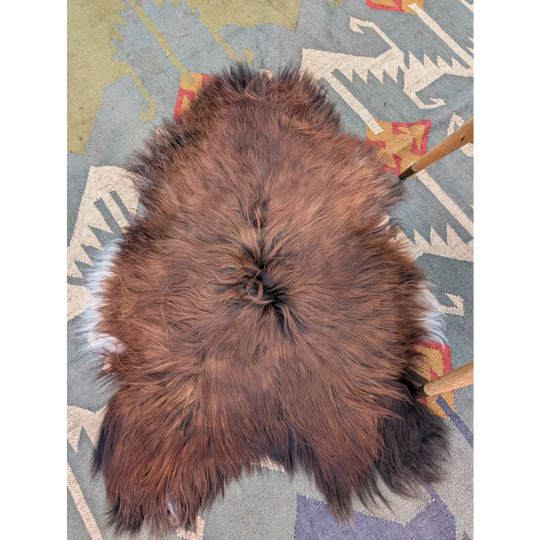 A plush brown and white wool icelandic sheepskin rug with natural slightly matted texture extra large 48 by 35 inches