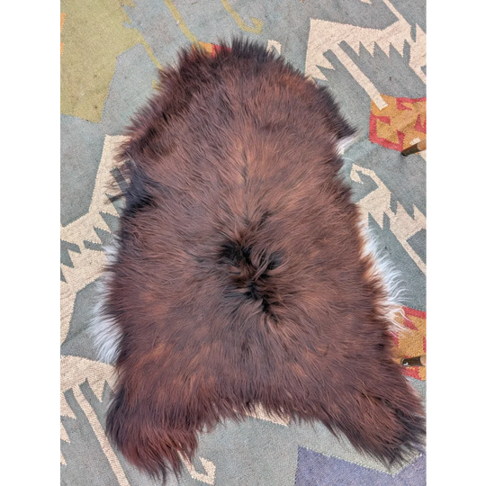 A plush brown and white wool icelandic sheepskin rug with soft dense texture 48 x 32 extra large size