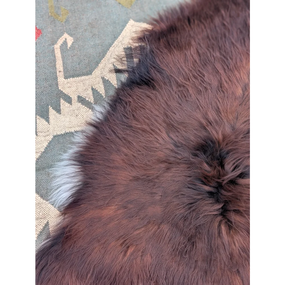 A plush rich brown extra large icelandic sheepskin rug with long wool icelandic texture and subtle white accents