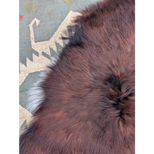 A plush rich brown extra large icelandic sheepskin rug with long wool icelandic texture and subtle white accents