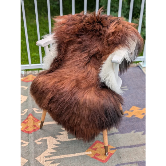 A plush long wool icelandic sheepskin rug in brown and white draped over a wooden chair for cozy decor