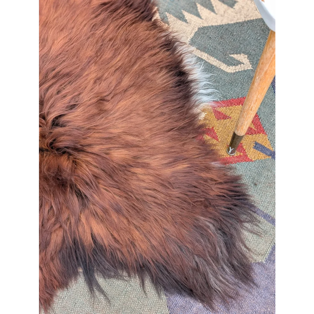 Extra large icelandic sheepskin rug in plush rich brown with long wool icelandic texture and natural shade variations