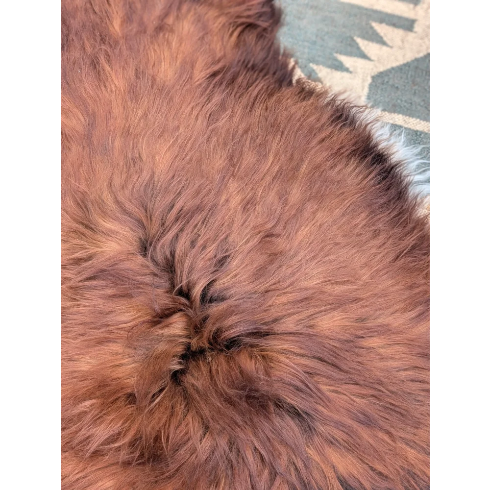 A plush rich brown icelandic sheepskin rug with long wool icelandic texture and natural hairline edges measuring 49 by 31 inches