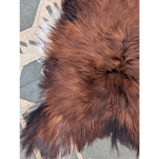 A plush extra large icelandic sheepskin rug with long wool icelandic brown fur and natural shade variations