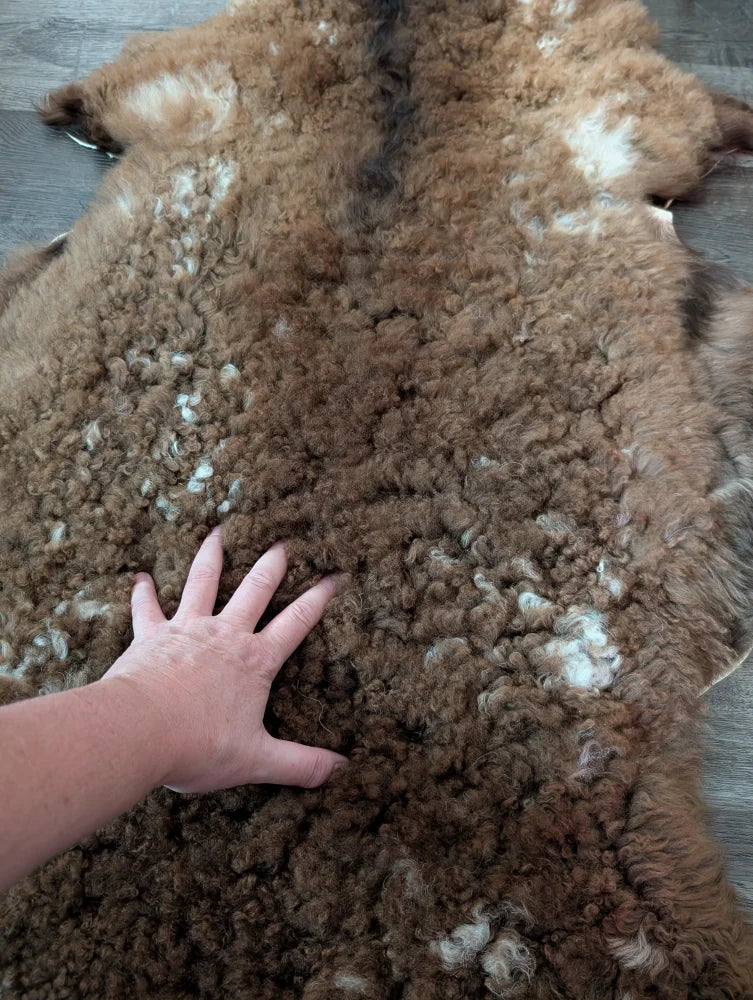 A plush curly brown and white tibet highland spotted sheepskin rug with a hand touching its soft textured surface