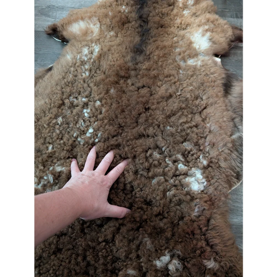 A plush curly brown and white tibet highland spotted sheepskin rug with a hand touching its soft textured surface