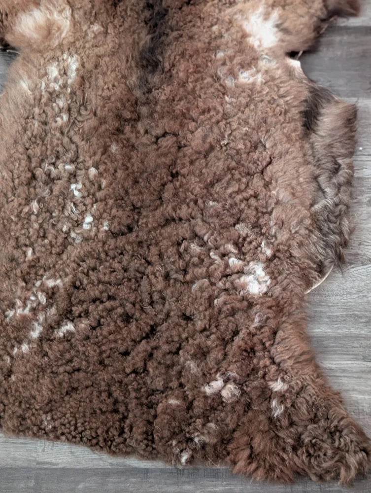 Brown curly tibet highland spotted sheepskin rug with white speckles perfect for cozy decor and comfort