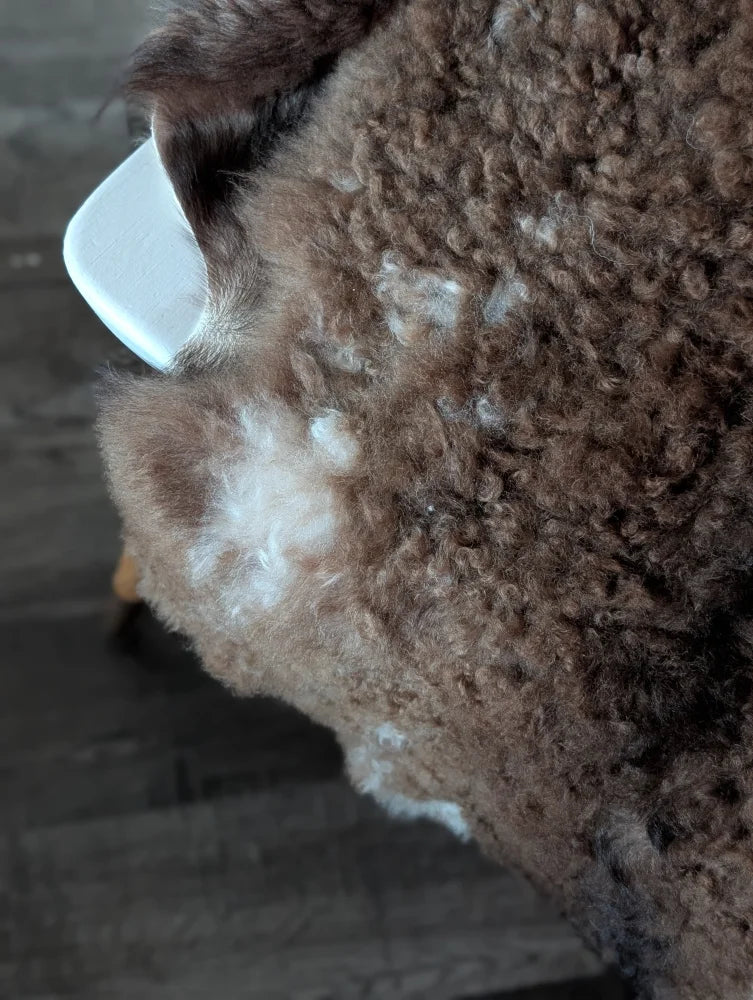 A fluffy brown dog with curly fur and a white patch on its back laying on a tibet highland spotted sheepskin rug
