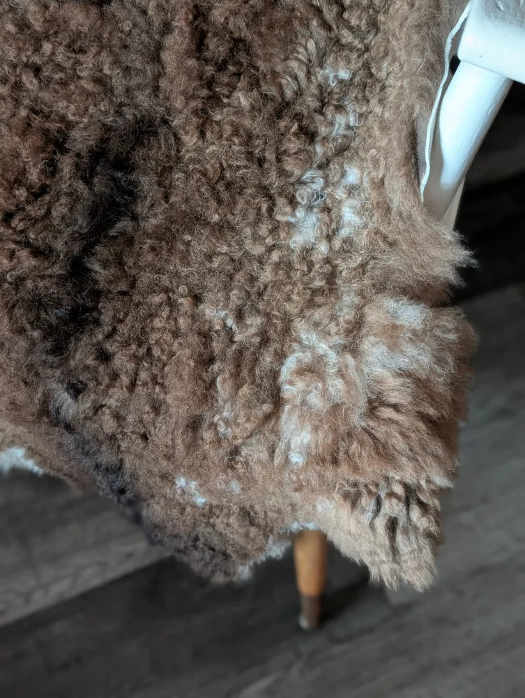Cozy brown tibet highland spotted sheepskin rug draped over chair leg showing soft curly texture