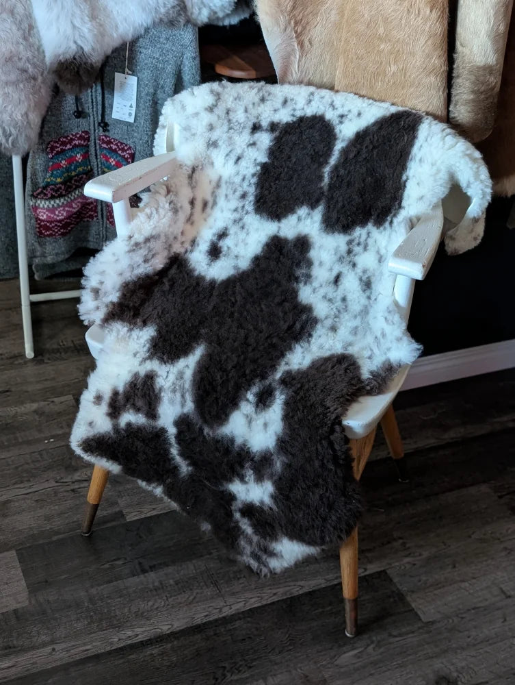 A plush black and white cow print grade a sheepskin rug from tibet highland spotted draped over a white wooden chair