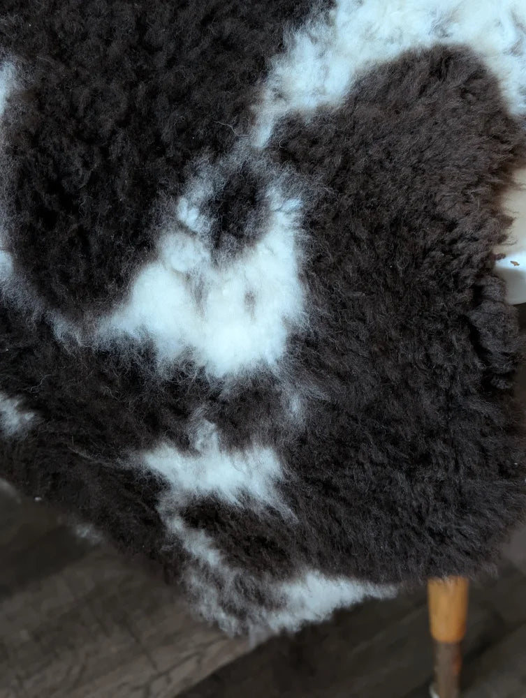 A plush grade a sheepskins tibet highland spotted rug with natural texture and bold black and white pattern