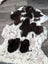 A plush tibet highland spotted grade a sheepskin rug with natural black and white cow print pattern