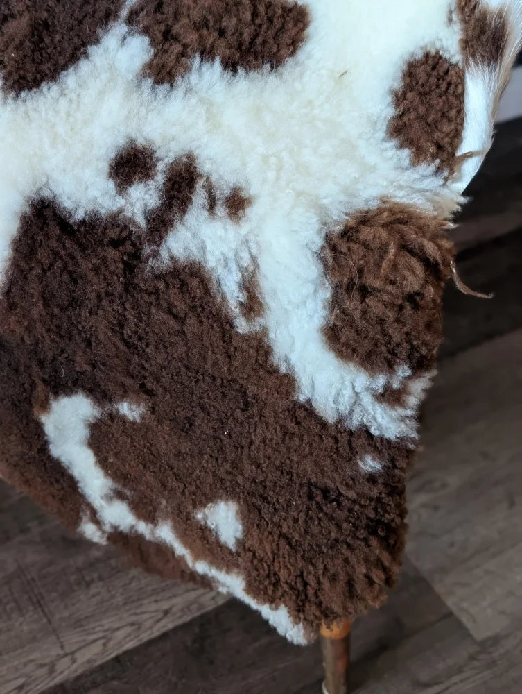 Brown and white tibet highland spotted grade a- sheepskin rug with plush curly texture measuring 44.5 by 25.5 inches