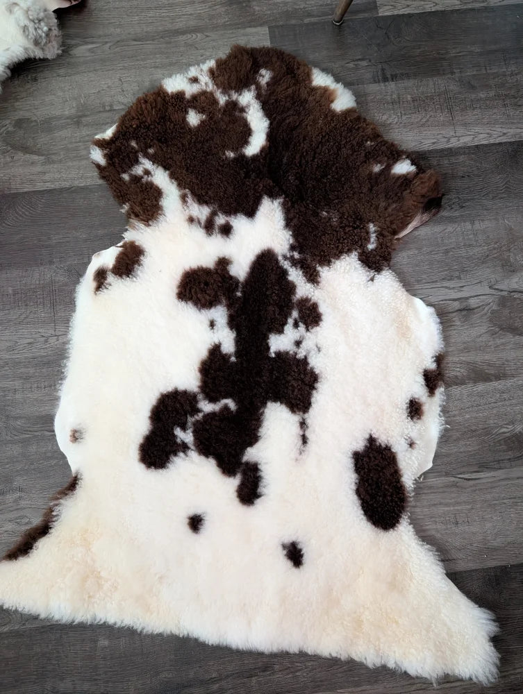 A plush tibet highland spotted grade a- sheepskin rug with natural white and brown spots perfect for cozy decor