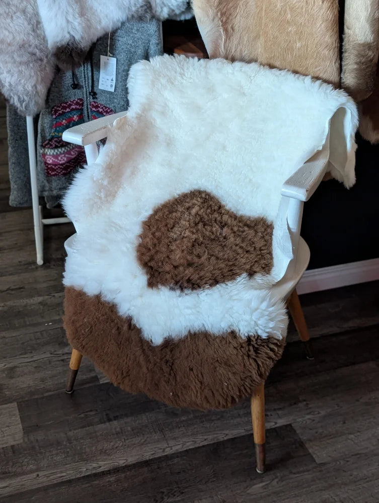 White and brown tibet highland spotted grade a- sheepskin throw draped over white wooden chair with light wood legs