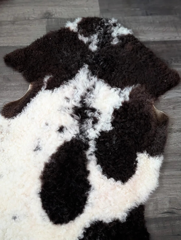 A plush curly black and white tibet highland spotted grade a- sheepskin rug with a natural irregular pattern
